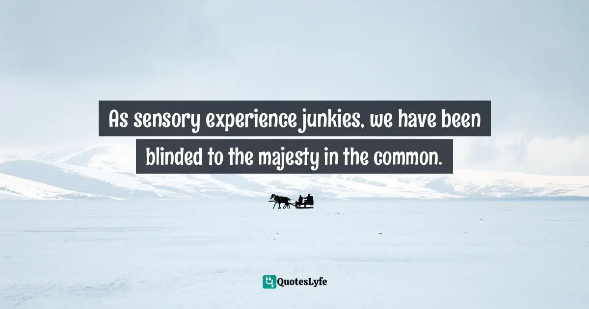 As sensory experience junkies, we have been blinded to the majesty in the common.