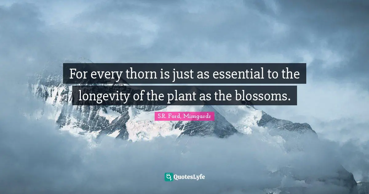 For every thorn is just as essential to the longevity of the plant as the blossoms.
