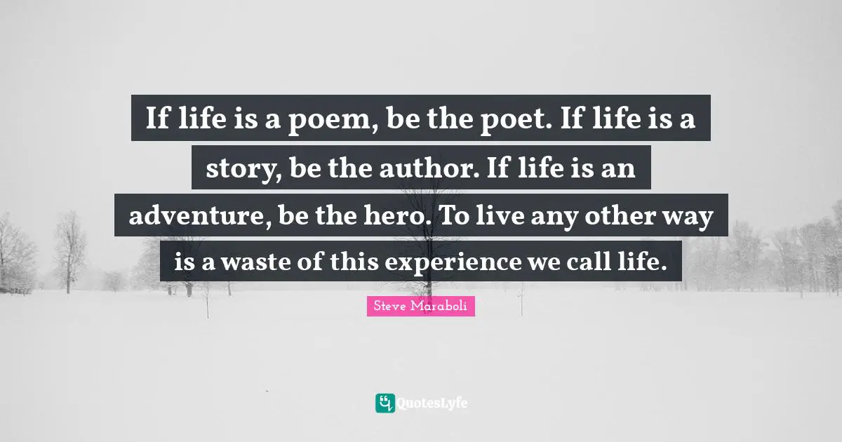 If life is a poem, be the poet. If life is a story, be the author. If life is an adventure, be the hero. To live any other way is a waste of this experience we call life.