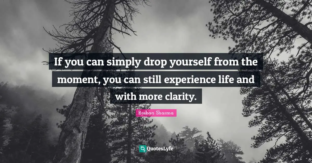 If you can simply drop yourself from the moment, you can still experience life and with more clarity.