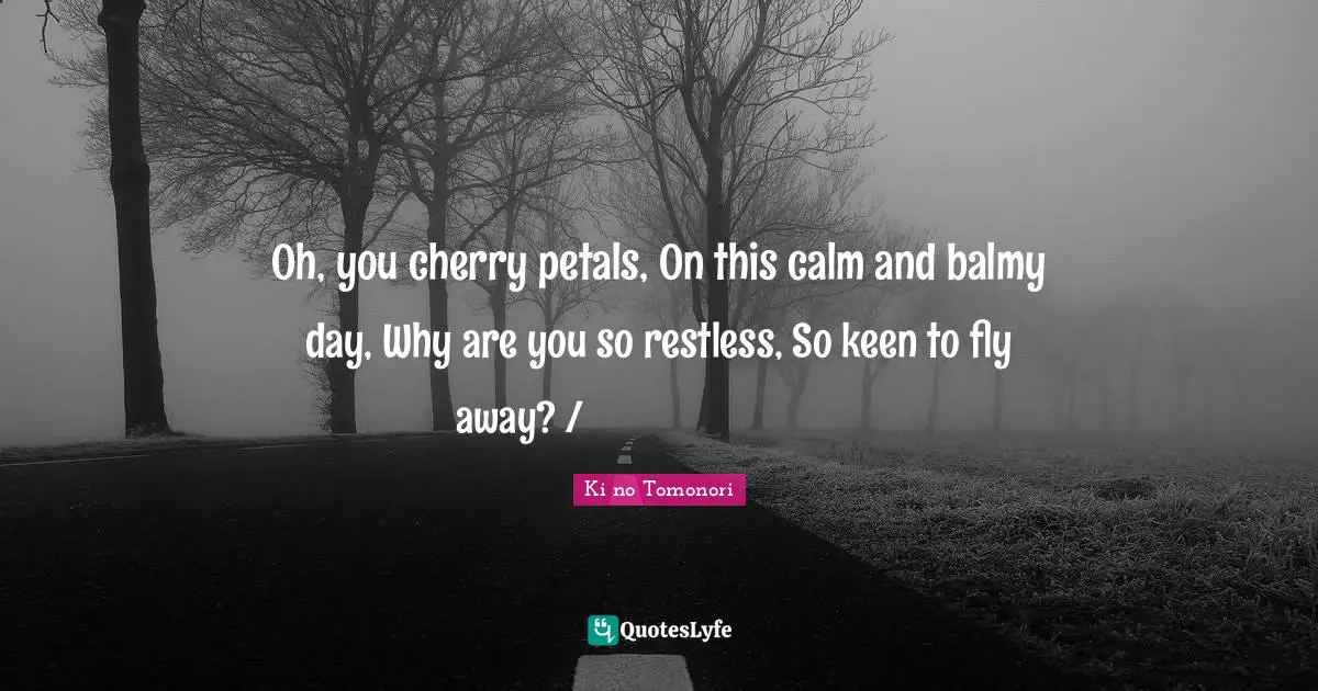 Oh, you cherry petals, On this calm and balmy day, Why are you so restless, So keen to fly away? / ひさかたの 光のどけき 春の日に しづ心なく 花の散るらむ