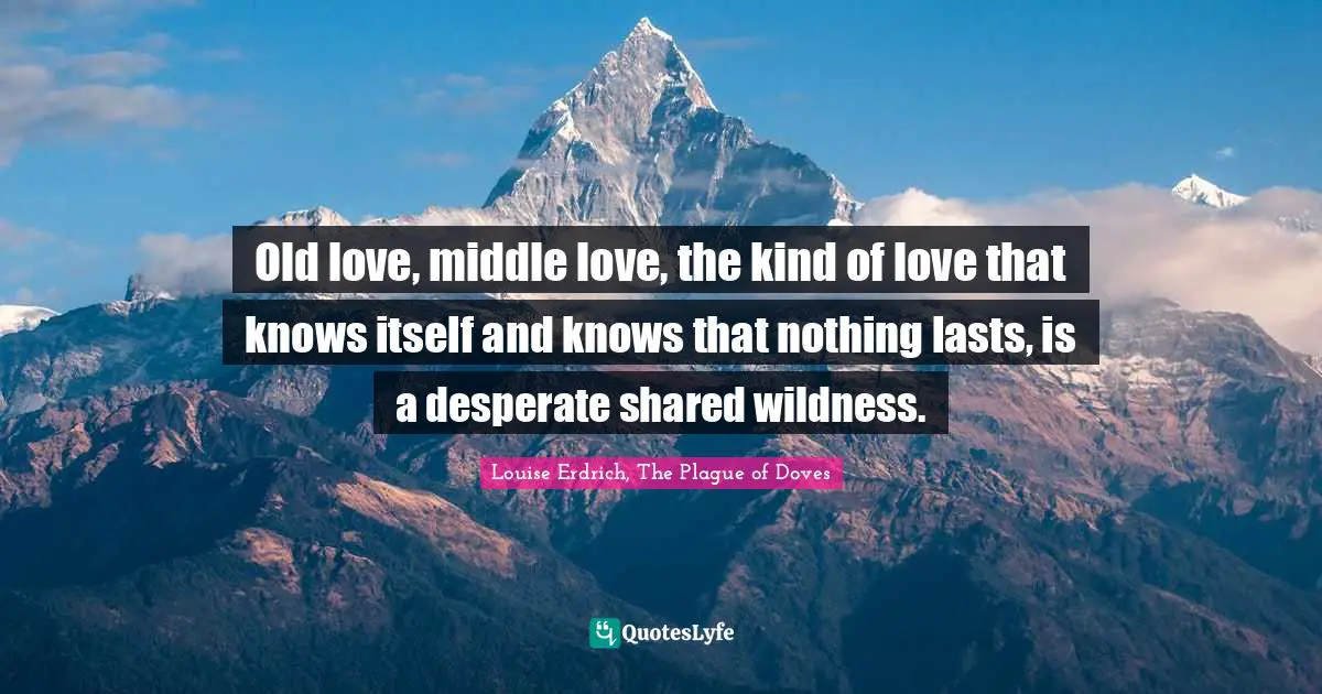 Old love, middle love, the kind of love that knows itself and knows that nothing lasts, is a desperate shared wildness.
