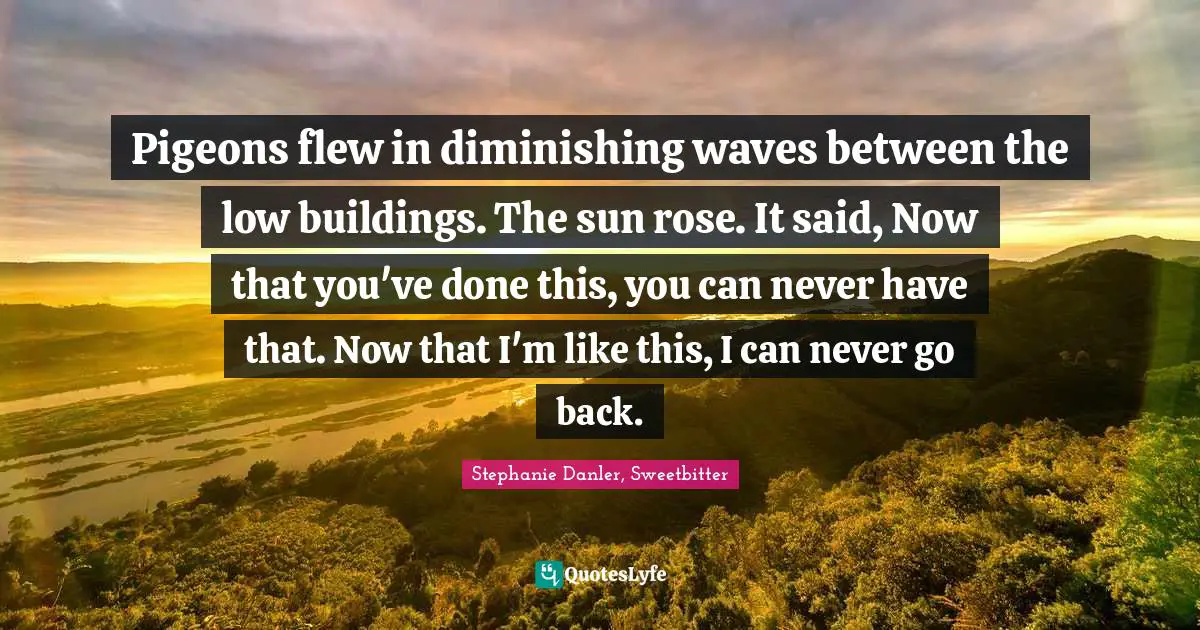 Pigeons flew in diminishing waves between the low buildings. The sun rose. It said, Now that you've done this, you can never have that. Now that I'm like this, I can never go back.