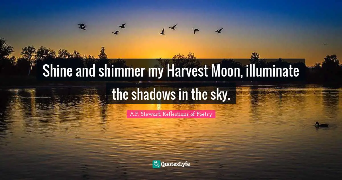 Shine and shimmer my Harvest Moon, illuminate the shadows in the sky.