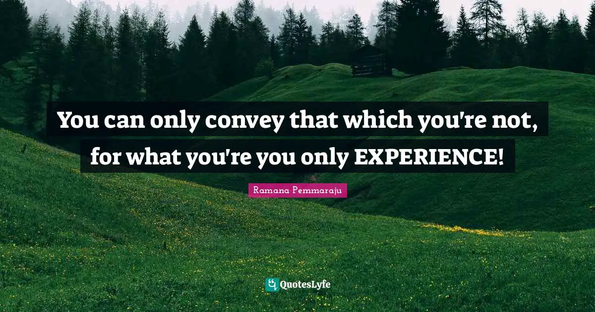Thoughts Of The Mind Quotes: "You can only convey that which you're not, for what you're you only EXPERIENCE!"