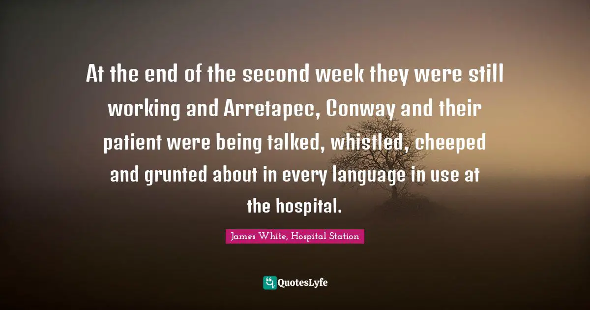 At the end of the second week they were still working and Arretapec, Conway and their patient were being talked, whistled, cheeped and grunted about in every language in use at the hospital.