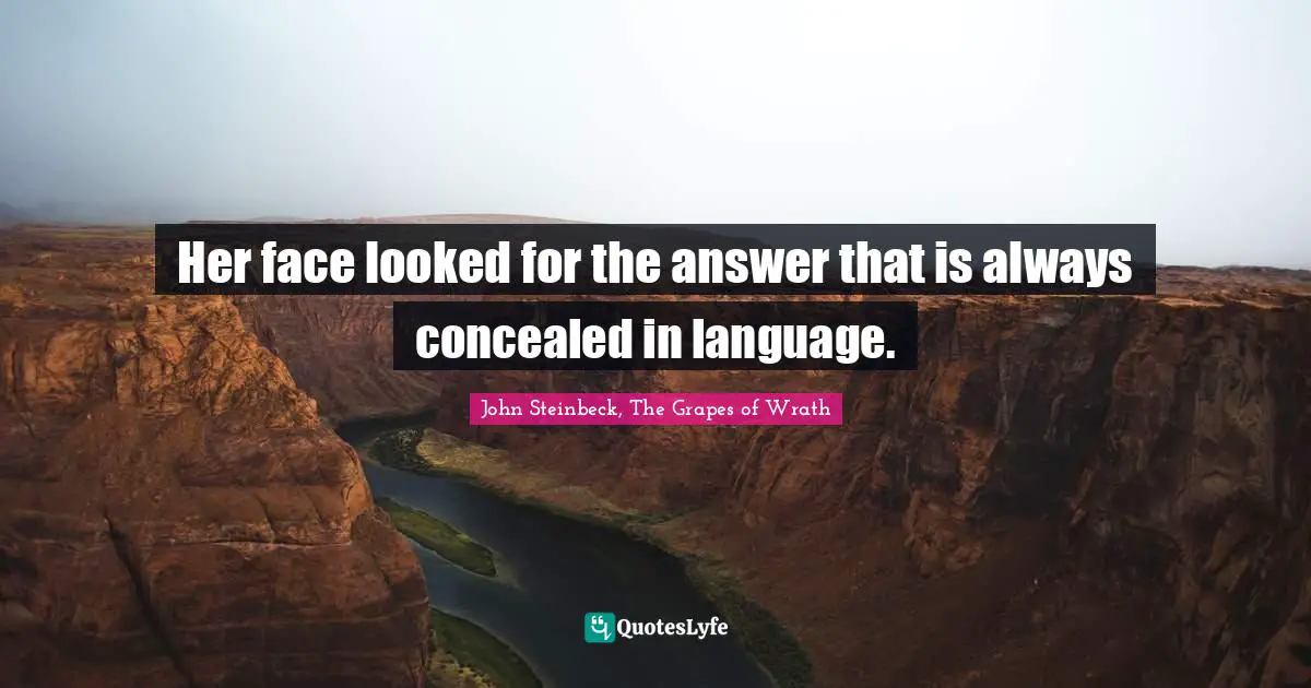 Her face looked for the answer that is always concealed in language.