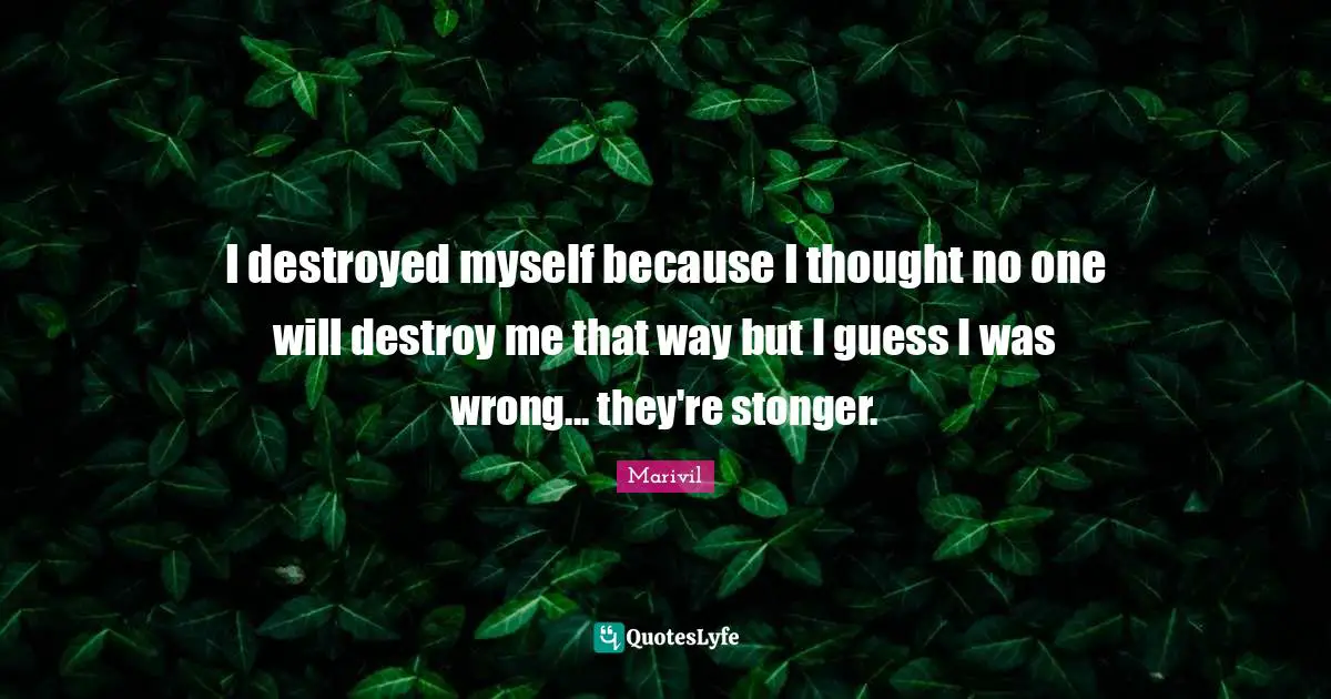 I destroyed myself because I thought no one will destroy me that way but I guess I was wrong... they're stonger.