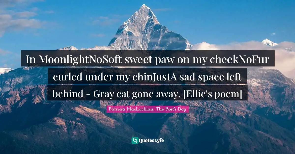 In MoonlightNoSoft sweet paw on my cheekNoFur curled under my chinJustA sad space left behind - Gray cat gone away. [Ellie's poem]