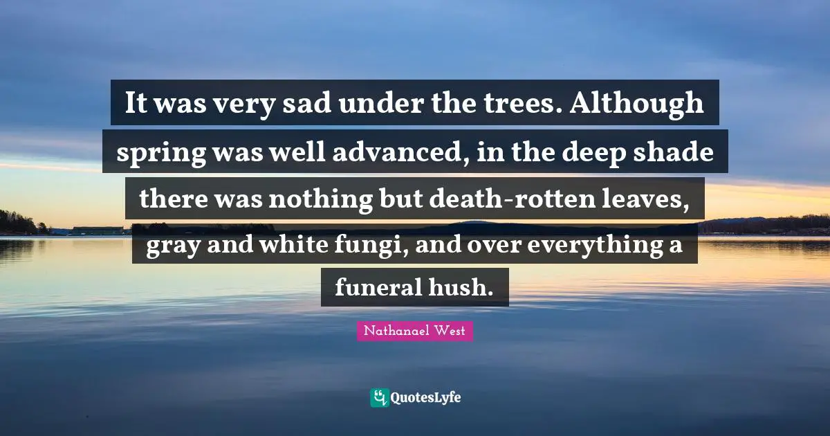 It was very sad under the trees. Although spring was well advanced, in the deep shade there was nothing but death-rotten leaves, gray and white fungi, and over everything a funeral hush.
