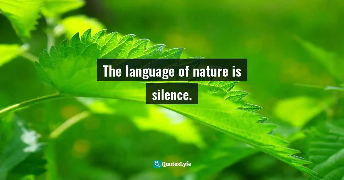 The language of nature is silence.