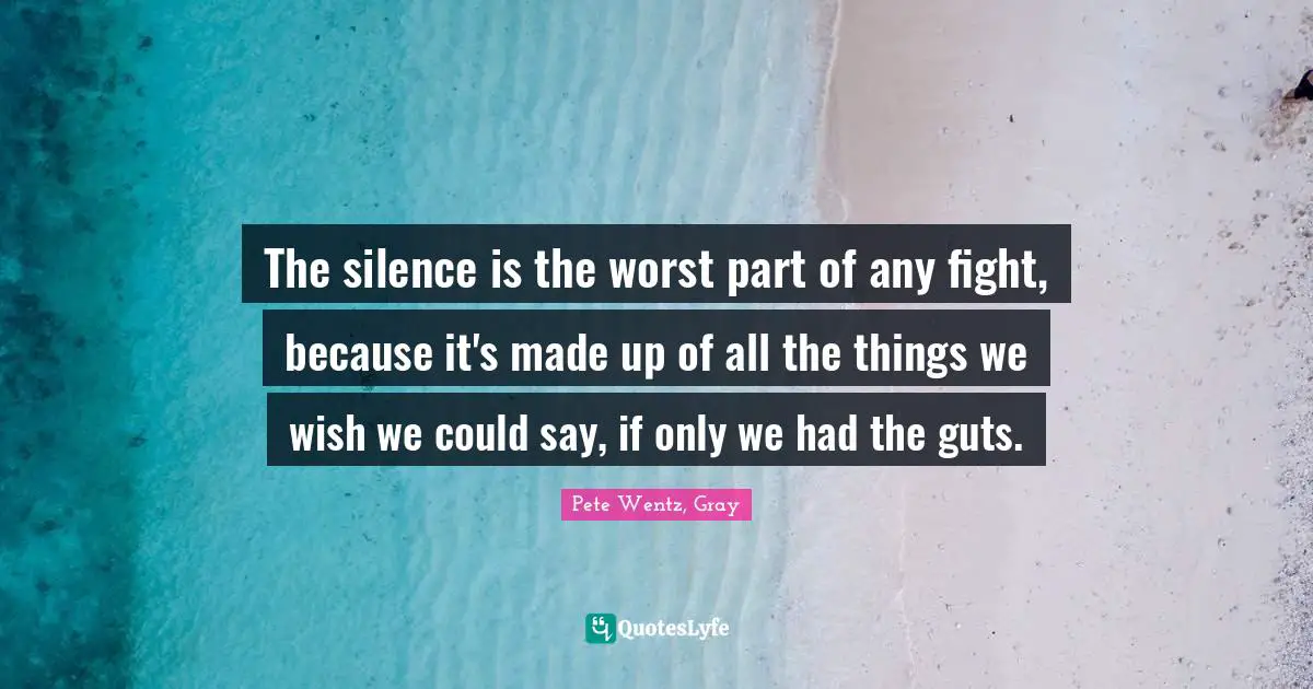 Pete Quotes: "The silence is the worst part of any fight, because it's made up of all the things we wish we could say, if only we had the guts."