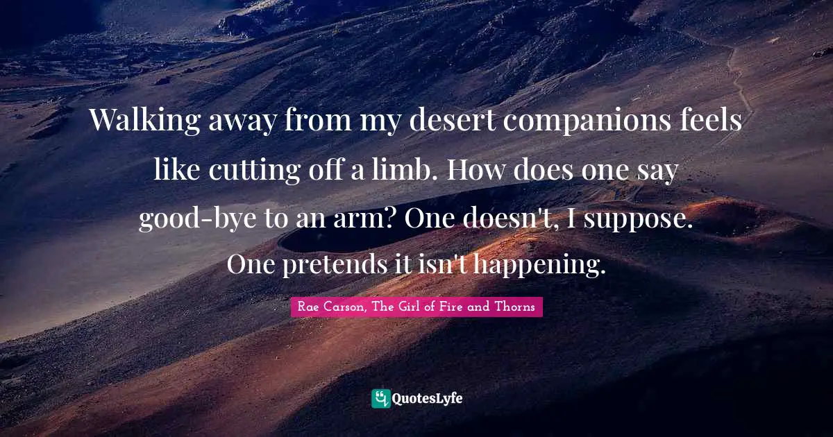 Walking away from my desert companions feels like cutting off a limb. How does one say good-bye to an arm? One doesn't, I suppose. One pretends it isn't happening.