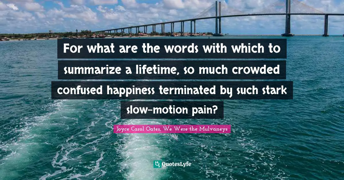 For what are the words with which to summarize a lifetime, so much crowded confused happiness terminated by such stark slow-motion pain?