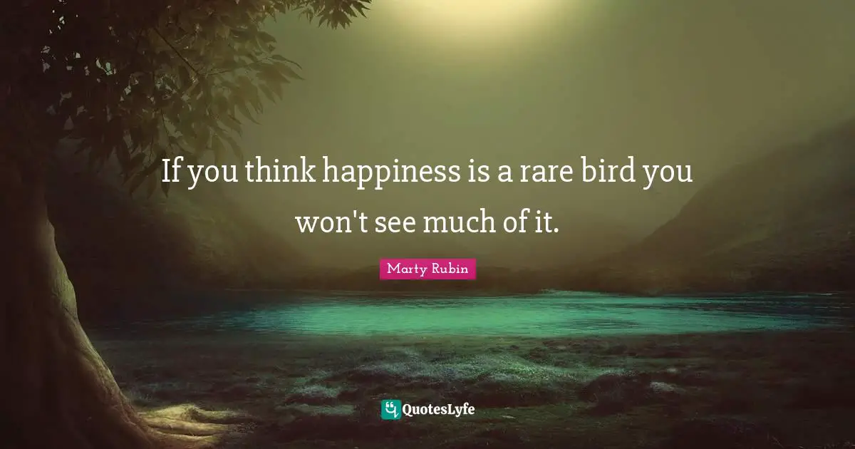 If you think happiness is a rare bird you won't see much of it.