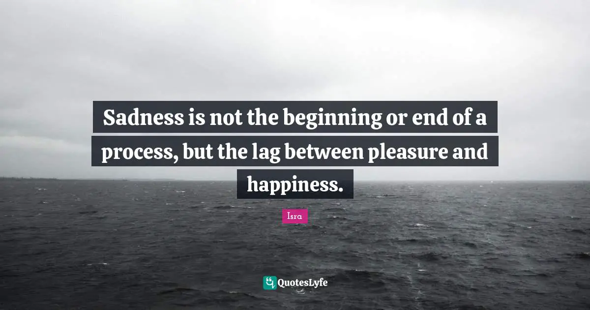 Sadness is not the beginning or end of a process, but the lag between pleasure and happiness.