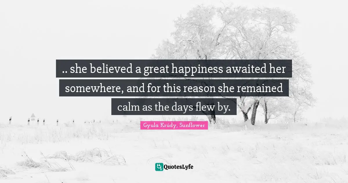 .. she believed a great happiness awaited her somewhere, and for this reason she remained calm as the days flew by.