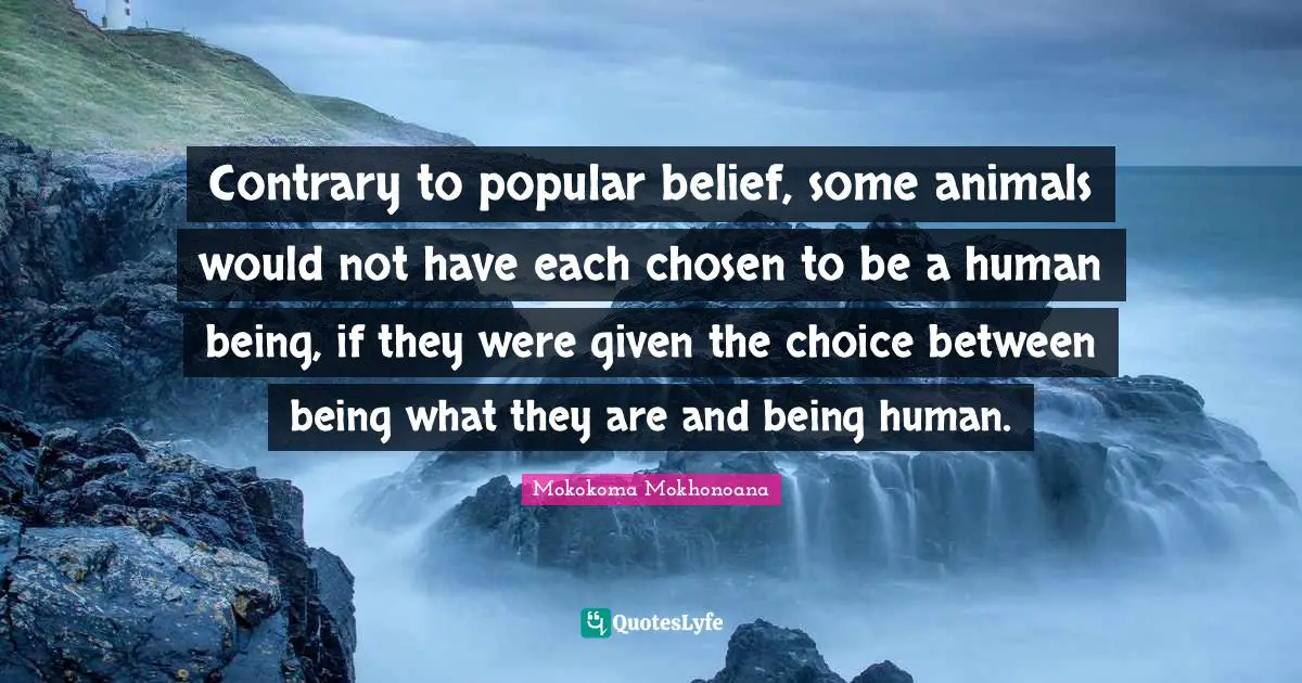 Contrary to popular belief, some animals would not have each chosen to be a human being, if they were given the choice between being what they are and being human.