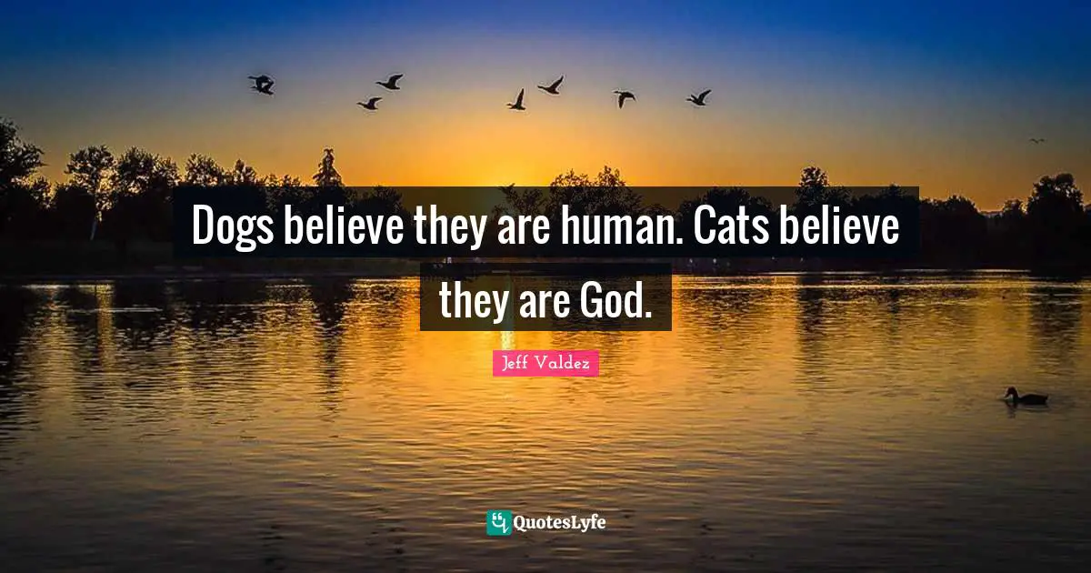 Dogs believe they are human. Cats believe they are God.