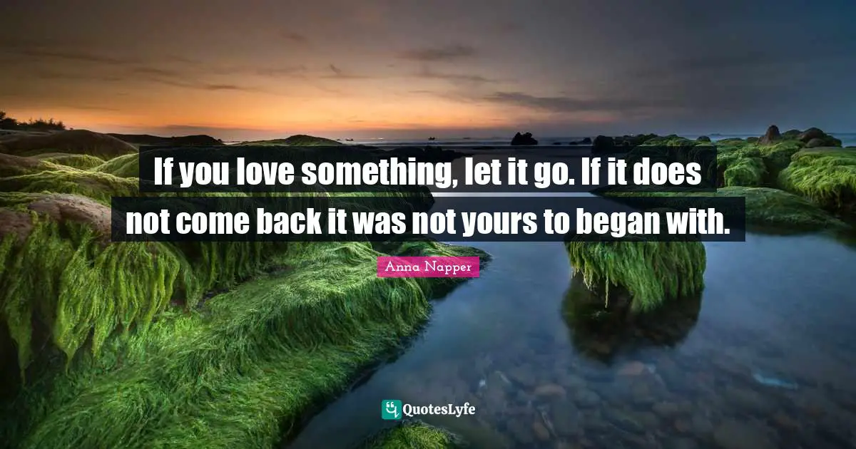 If you love something, let it go. If it does not come back it was not yours to began with.