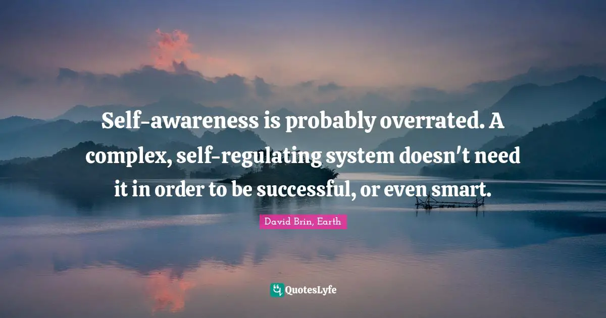 Self-awareness is probably overrated. A complex, self-regulating system doesn't need it in order to be successful, or even smart.