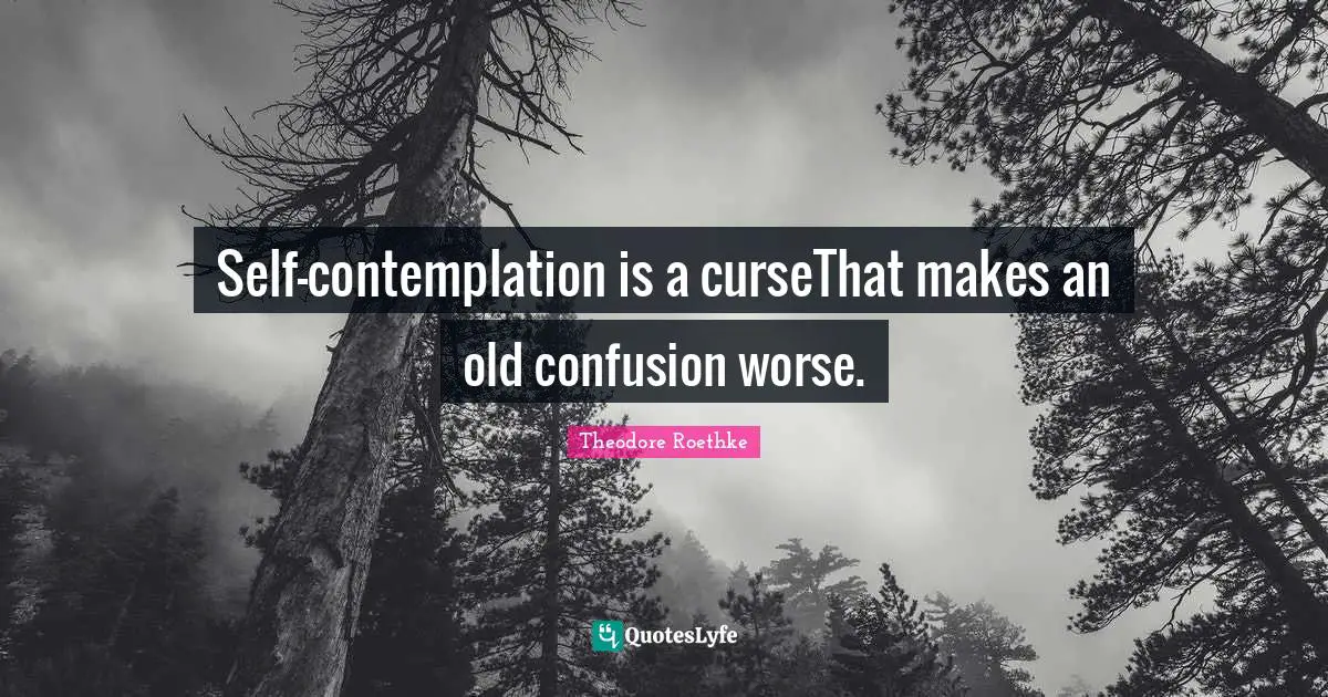 Self-contemplation is a curseThat makes an old confusion worse.