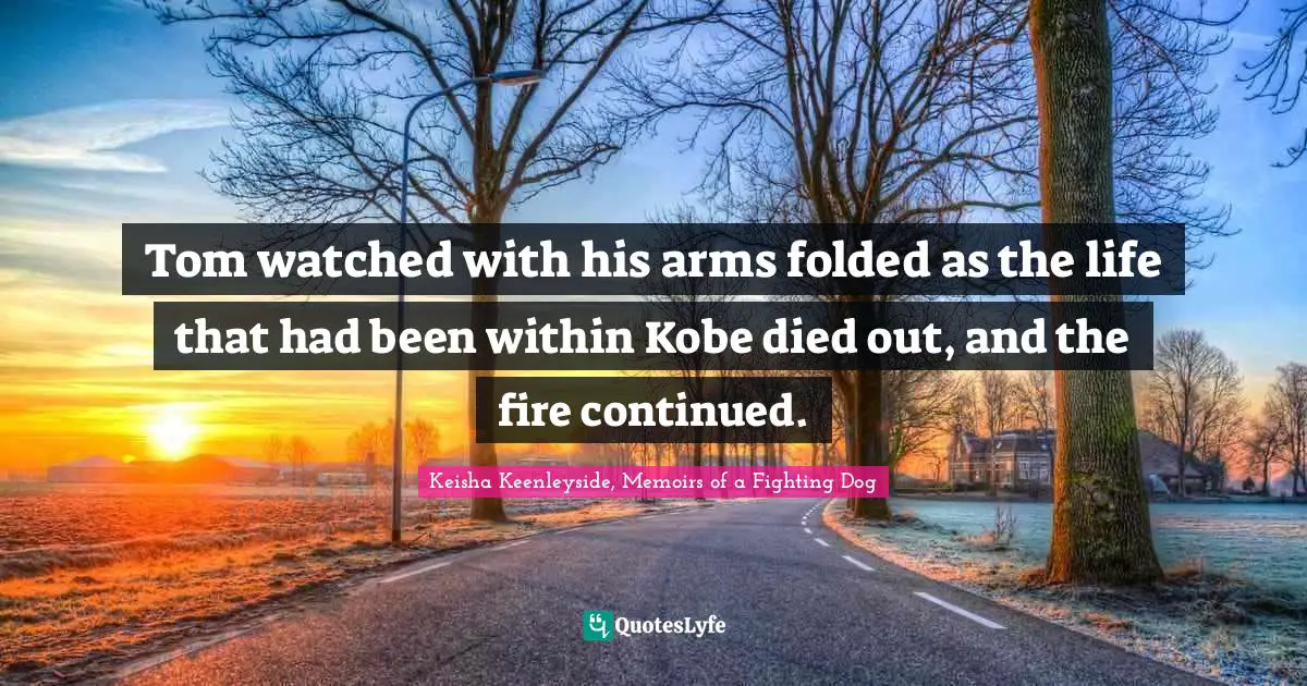 Tom watched with his arms folded as the life that had been within Kobe died out, and the fire continued.