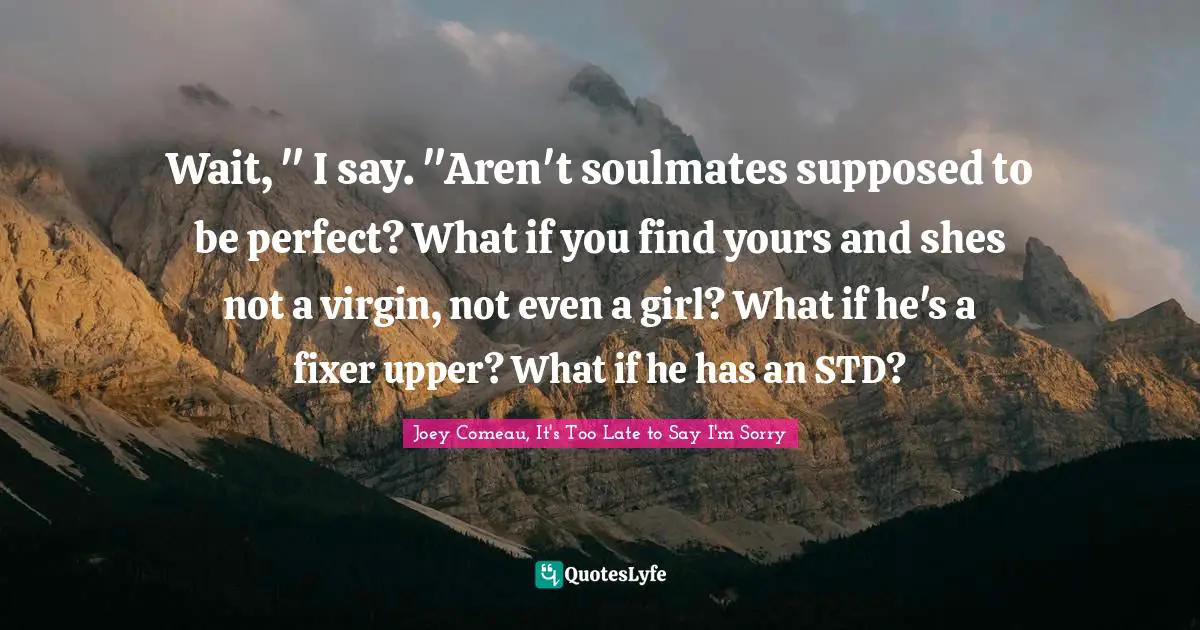 Wait, " I say. "Aren't soulmates supposed to be perfect? What if you find yours and shes not a virgin, not even a girl? What if he's a fixer upper? What if he has an STD?