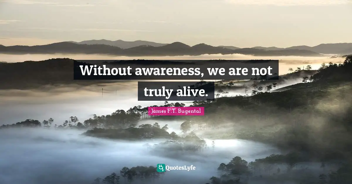 Without awareness, we are not truly alive.