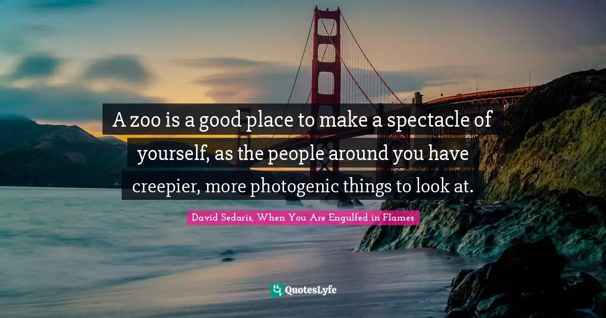 David Sedaris Quotes: "A zoo is a good place to make a spectacle of yourself, as the people around you have creepier, more photogenic things to look at."