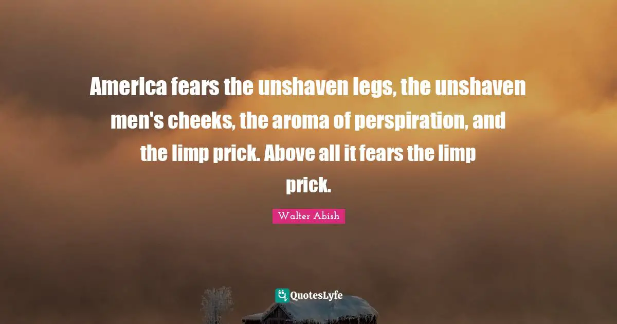 America fears the unshaven legs, the unshaven men's cheeks, the aroma of perspiration, and the limp prick. Above all it fears the limp prick.