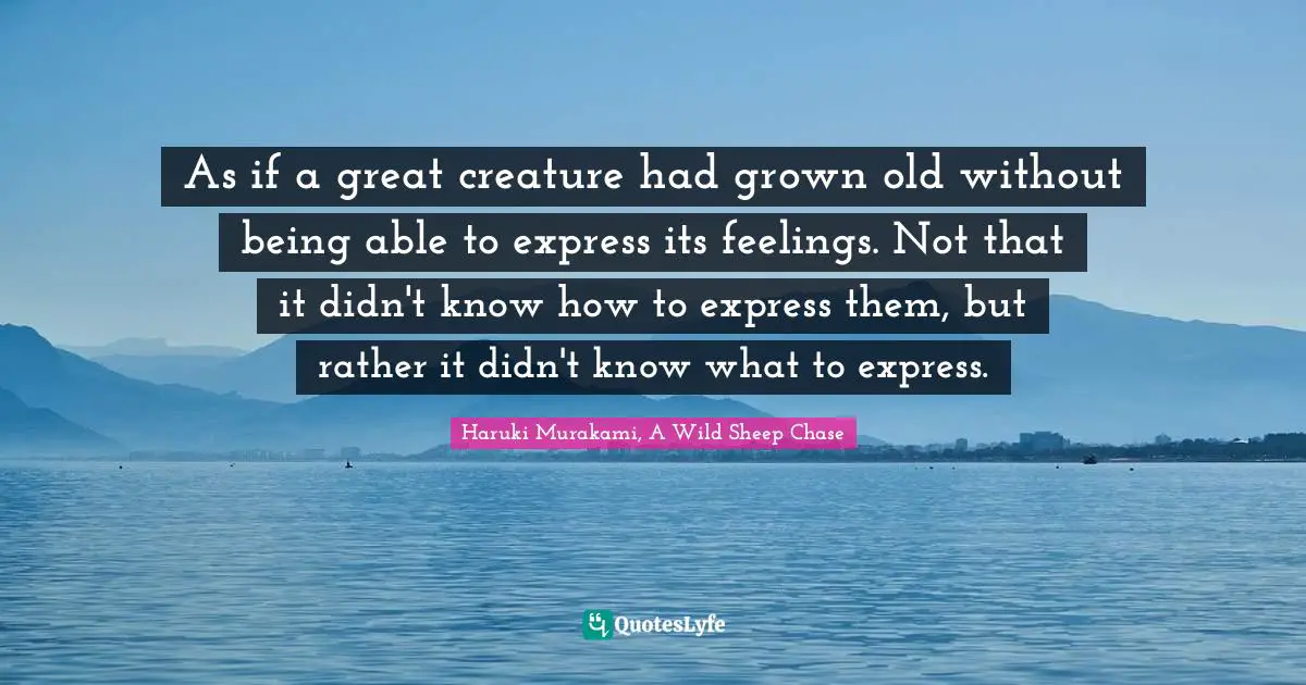 As if a great creature had grown old without being able to express its feelings. Not that it didn't know how to express them, but rather it didn't know what to express.