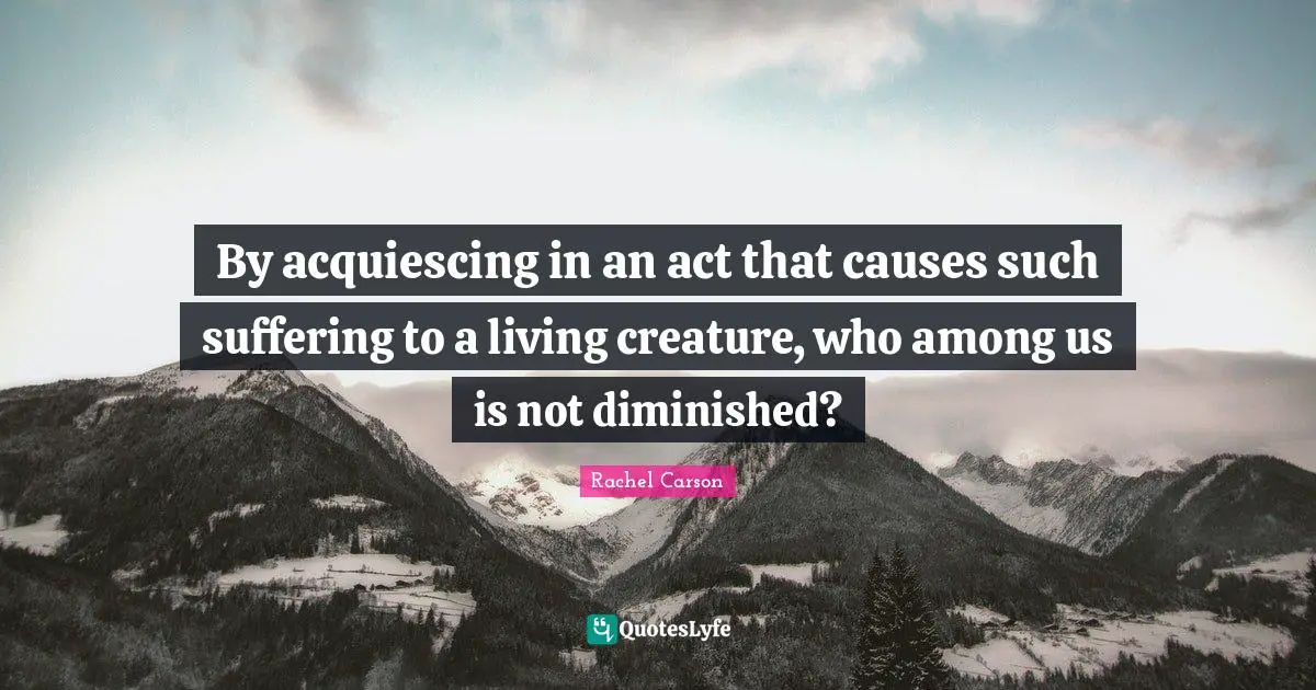 By acquiescing in an act that causes such suffering to a living creature, who among us is not diminished?