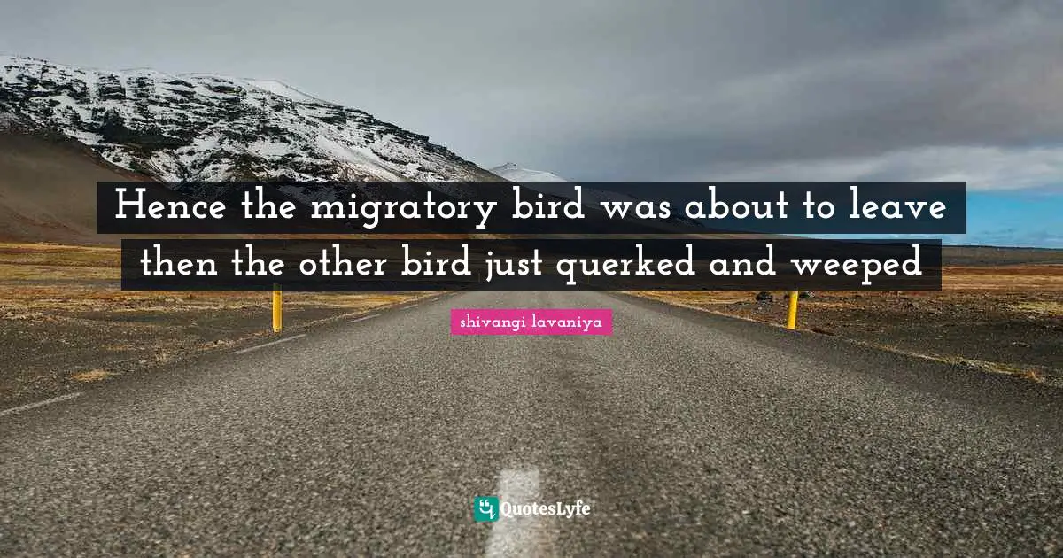 Hence the migratory bird was about to leave then the other bird just querked and weeped