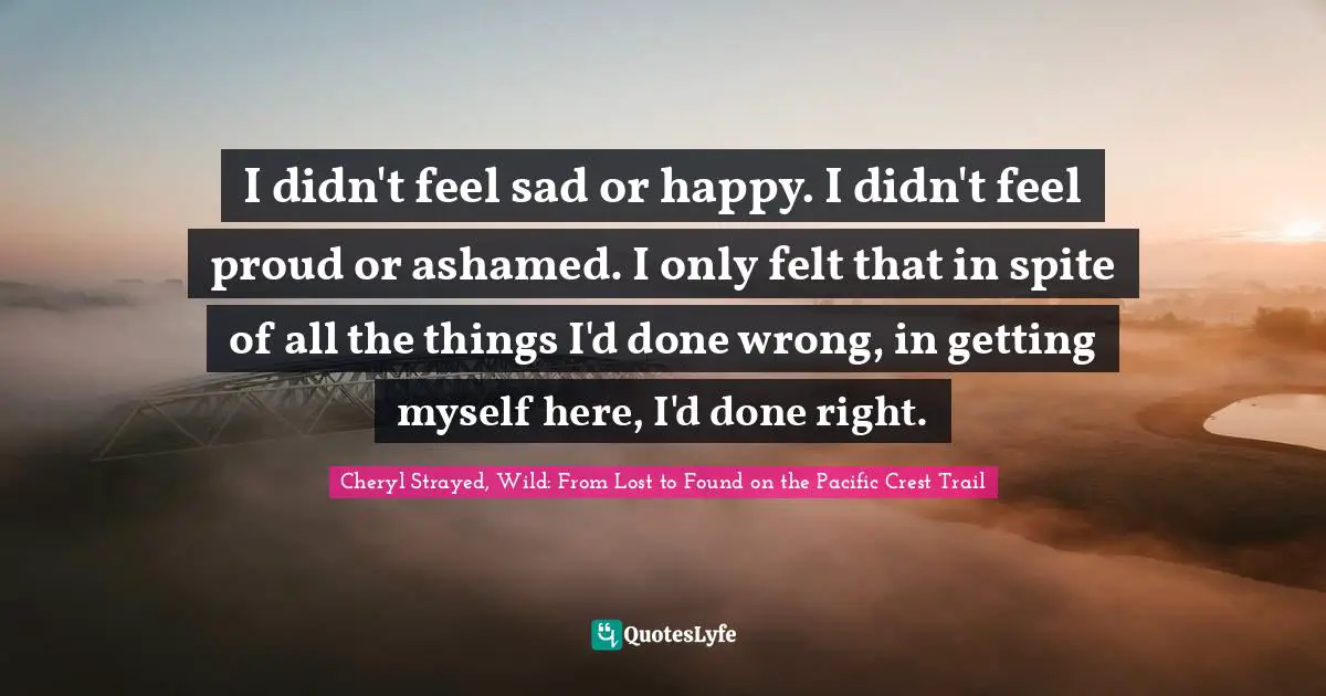 I didn't feel sad or happy. I didn't feel proud or ashamed. I only felt that in spite of all the things I'd done wrong, in getting myself here, I'd done right.