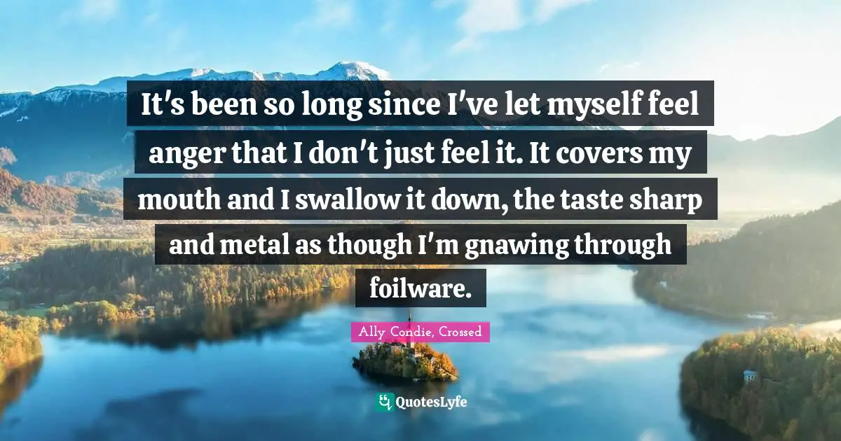 It's been so long since I've let myself feel anger that I don't just feel it. It covers my mouth and I swallow it down, the taste sharp and metal as though I'm gnawing through foilware.