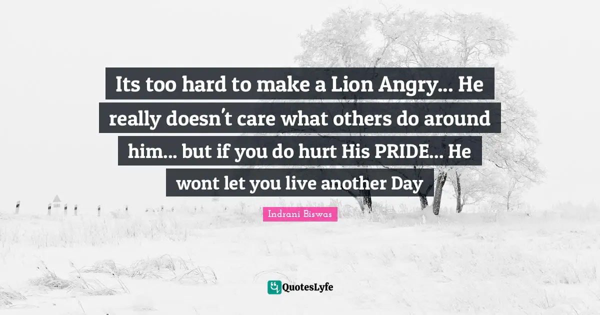 Its too hard to make a Lion Angry... He really doesn't care what others do around him... but if you do hurt His PRIDE... He wont let you live another Day