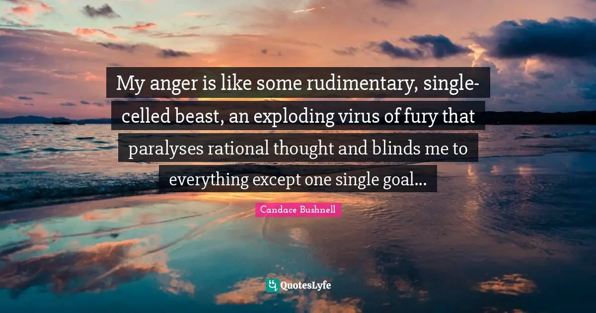My anger is like some rudimentary, single-celled beast, an exploding virus of fury that paralyses rational thought and blinds me to everything except one single goal...