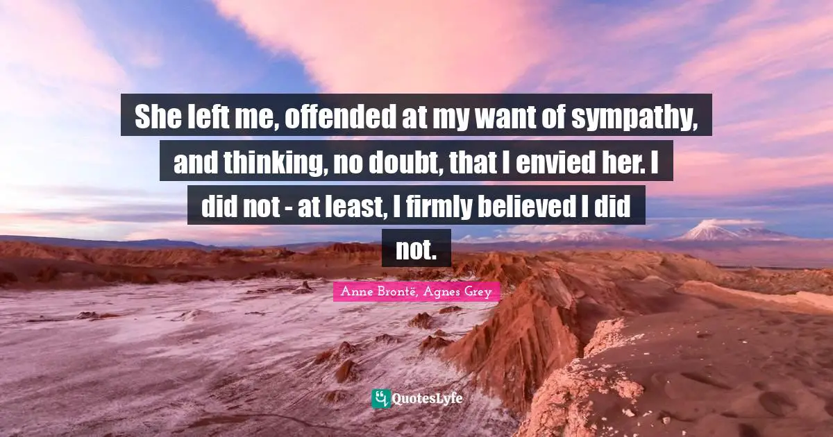 She left me, offended at my want of sympathy, and thinking, no doubt, that I envied her. I did not - at least, I firmly believed I did not.