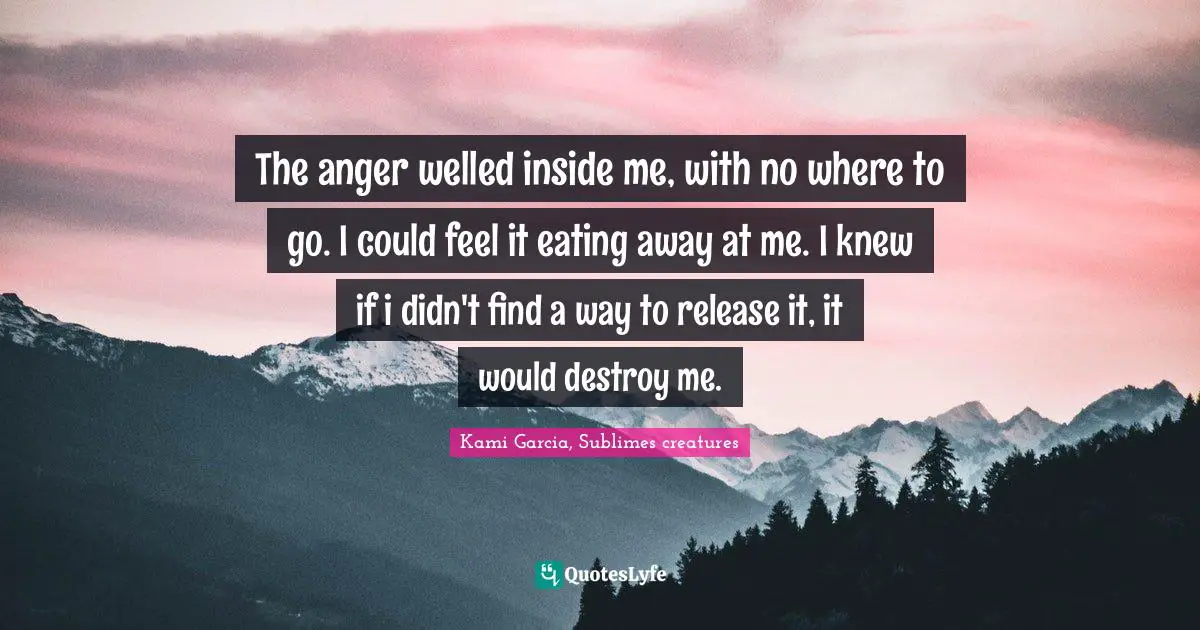 Destroy Quotes: "The anger welled inside me, with no where to go. I could feel it eating away at me. I knew if i didn't find a way to release it, it would destroy me."