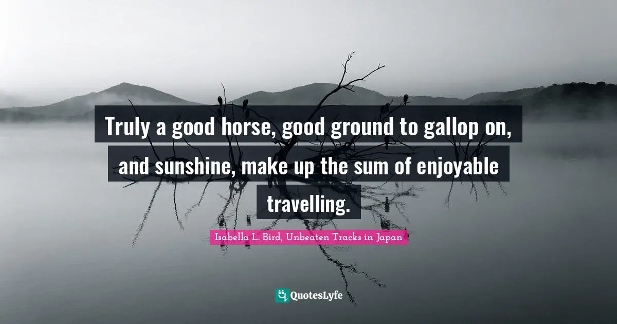 Truly a good horse, good ground to gallop on, and sunshine, make up the sum of enjoyable travelling.