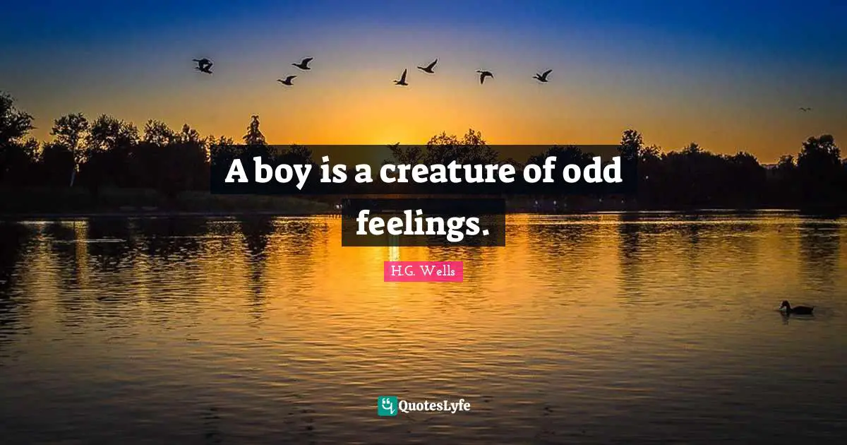 A boy is a creature of odd feelings.
