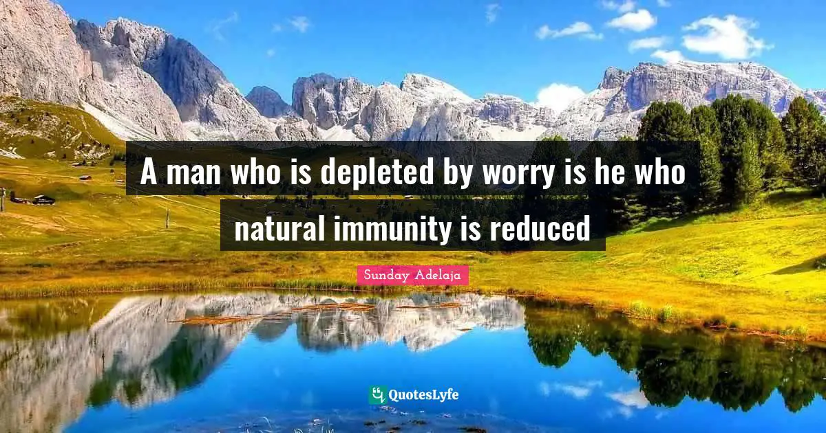 Immunity Quotes: "A man who is depleted by worry is he who natural immunity is reduced"