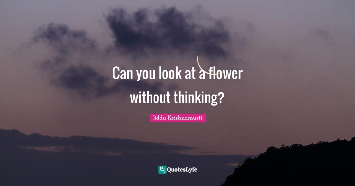 Can you look at a flower without thinking?