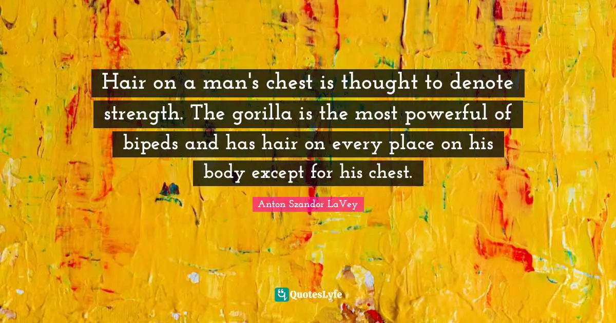 Hair on a man's chest is thought to denote strength. The gorilla is the most powerful of bipeds and has hair on every place on his body except for his chest.