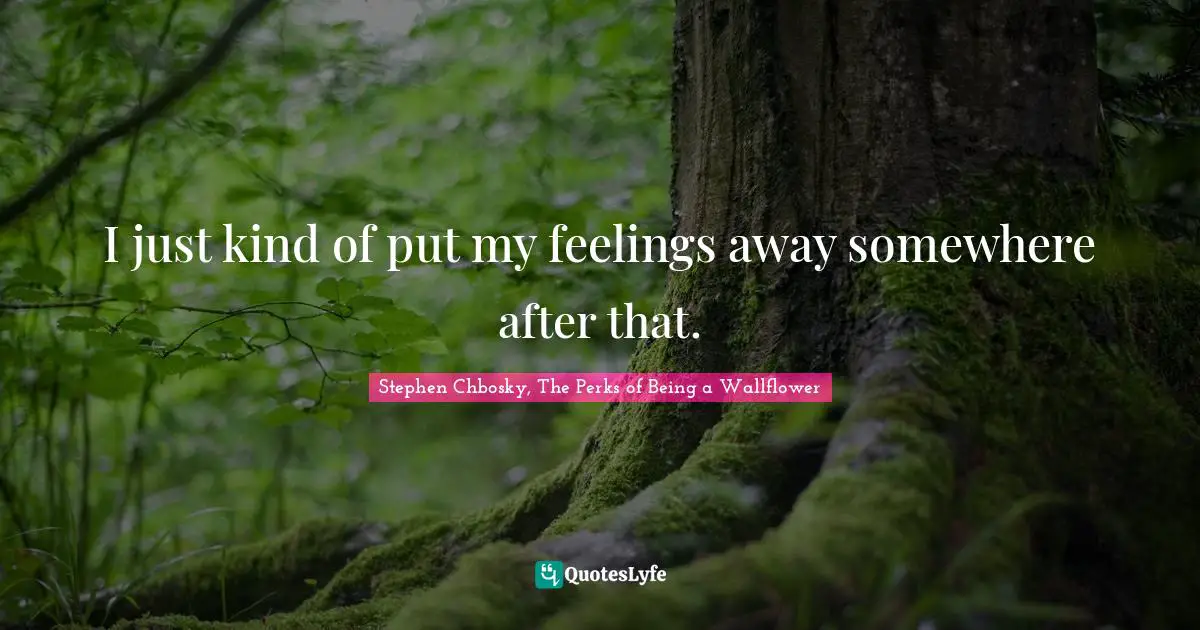 Stephen Chbosky, The Perks Of Being A Wallflower Quotes: "I just kind of put my feelings away somewhere after that."