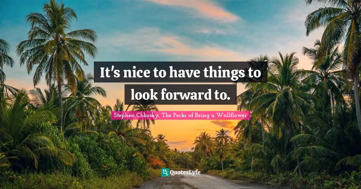 Stephen Chbosky, The Perks Of Being A Wallflower Quotes: "It's nice to have things to look forward to."