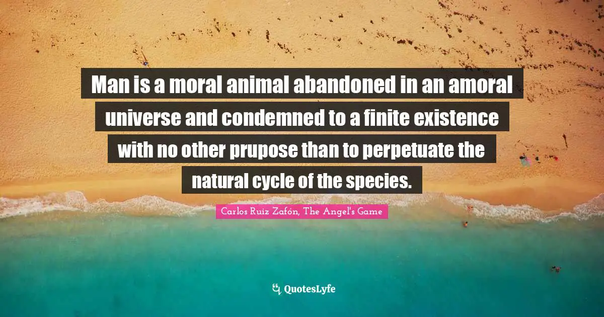 Carlos Ruiz Zafón, The Angel's Game Quotes: "Man is a moral animal abandoned in an amoral universe and condemned to a finite existence with no other prupose than to perpetuate the natural cycle of the species."