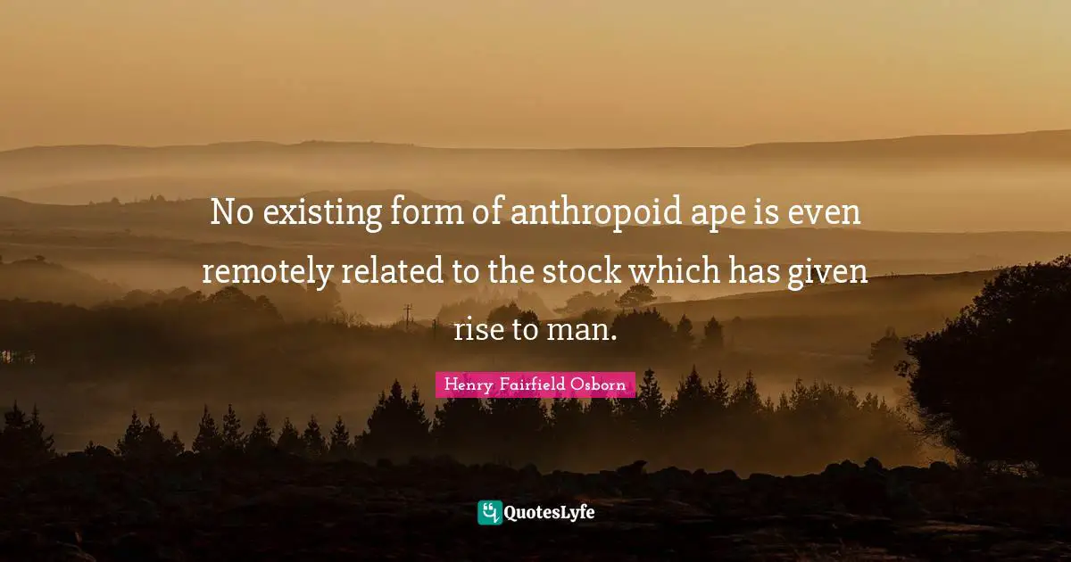 Primates Quotes: "No existing form of anthropoid ape is even remotely related to the stock which has given rise to man."
