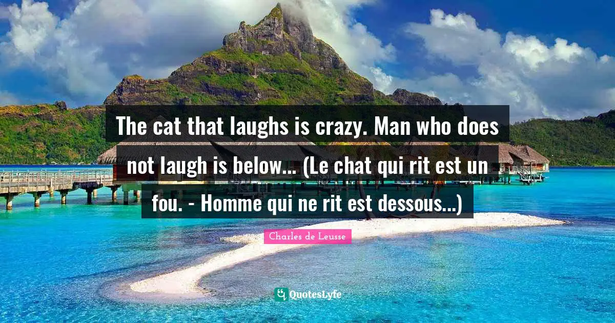 The cat that laughs is crazy. Man who does not laugh is below... (Le chat qui rit est un fou. - Homme qui ne rit est dessous...)